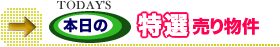 �{���̃S���t��������I���蕨��